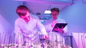 В СПбГАУ придумали как одновременно обрабатывать почву и вносить удобрения